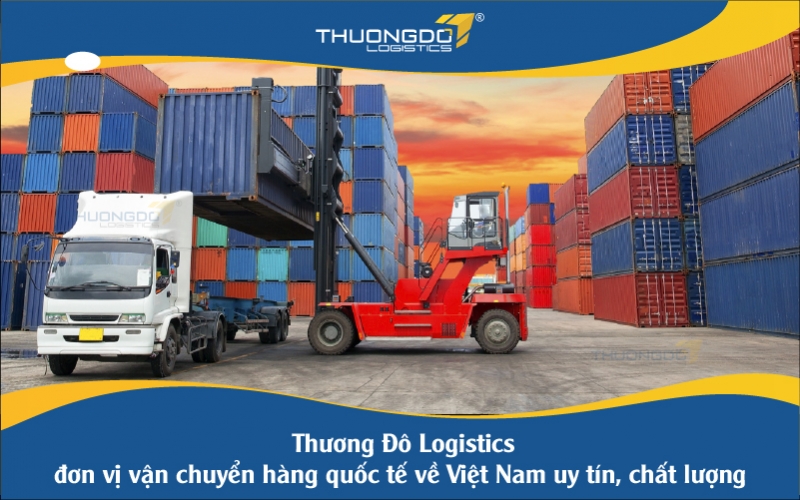 Thương Đô Logistics - đơn vị vận chuyển hàng quốc tế về Việt Nam uy tín, chất lượng