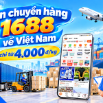 Vận chuyển hàng 1688 về Việt Nam T10/2026: Các hình thức, phí, kinh nghiệm