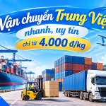 Vận chuyển Trung Việt T10/2026 cực nhanh và an toàn tại Thương Đô Logistics