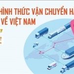 Các hình thức vận chuyển hàng 1688 về Việt Nam T8/2026