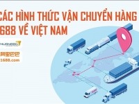 Các hình thức vận chuyển hàng 1688 về Việt Nam T8/2026