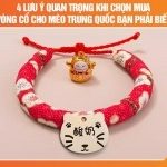 4 Lưu ý quan trọng chọn mua vòng cổ cho mèo Trung Quốc bạn phải biết