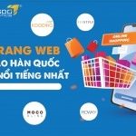 Top 10+ trang web bán quần áo Hàn Quốc giá rẻ nổi tiếng nhất