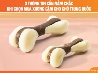 3 Thông tin cần nắm chắc khi chọn mua xương gặm cho chó Trung Quốc